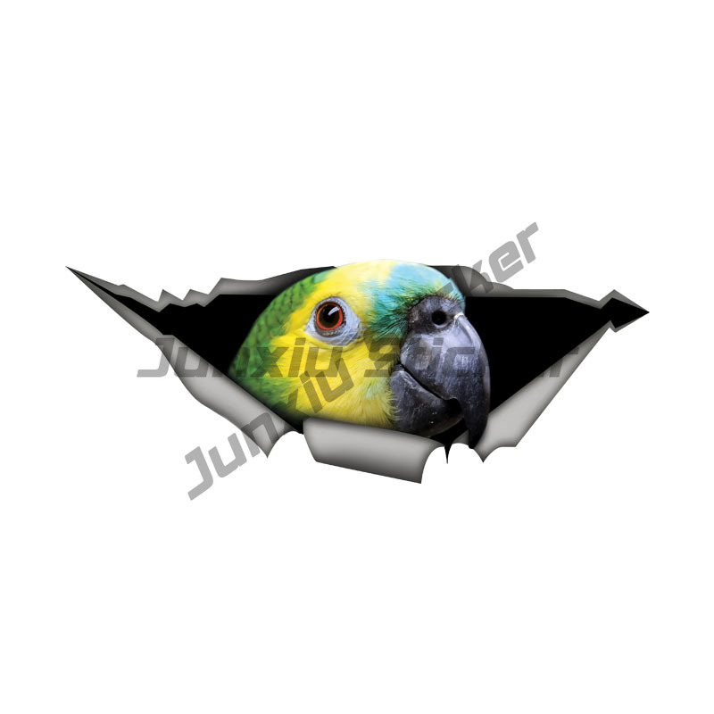 Blue Fronted Amazon Parrot Car - Car Accessories Amazon recension och pris