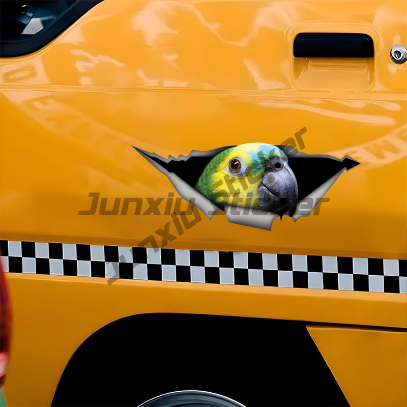 Blue Fronted Amazon Parrot Car - Car Accessories Amazon recension och pris