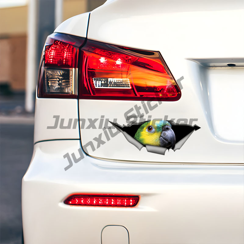 Blue Fronted Amazon Parrot Car - Car Accessories Amazon recension och pris