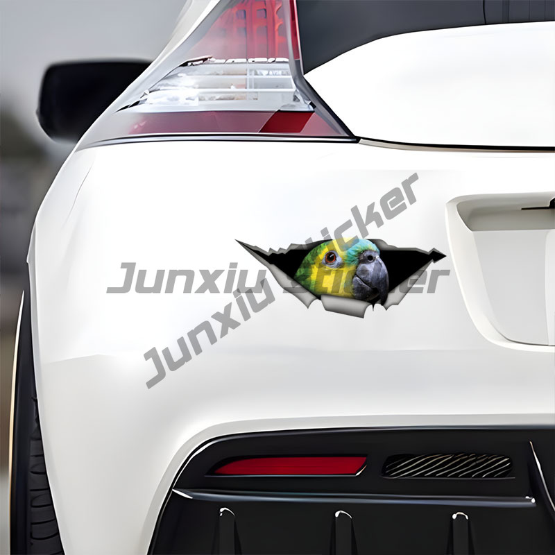 Blue Fronted Amazon Parrot Car - Car Accessories Amazon recension och pris