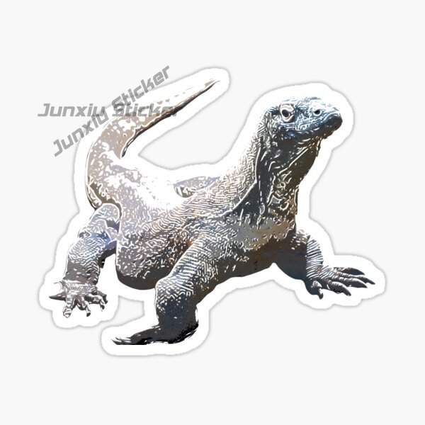 Komodo National Park Komodo Is - Car Accessories Bali recension och pris