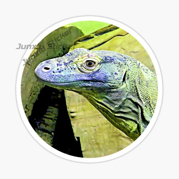 Komodo National Park Komodo Is - Car Accessories Bali recension och pris