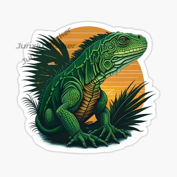 Komodo National Park Komodo Is - Car Accessories Bali recension och pris